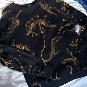 Dinosaur Sweater